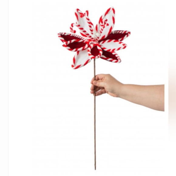 Other - Peppermint Poinsettia